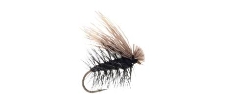 Elk Hair Caddis - Black 6 Pack CLOSEOUT